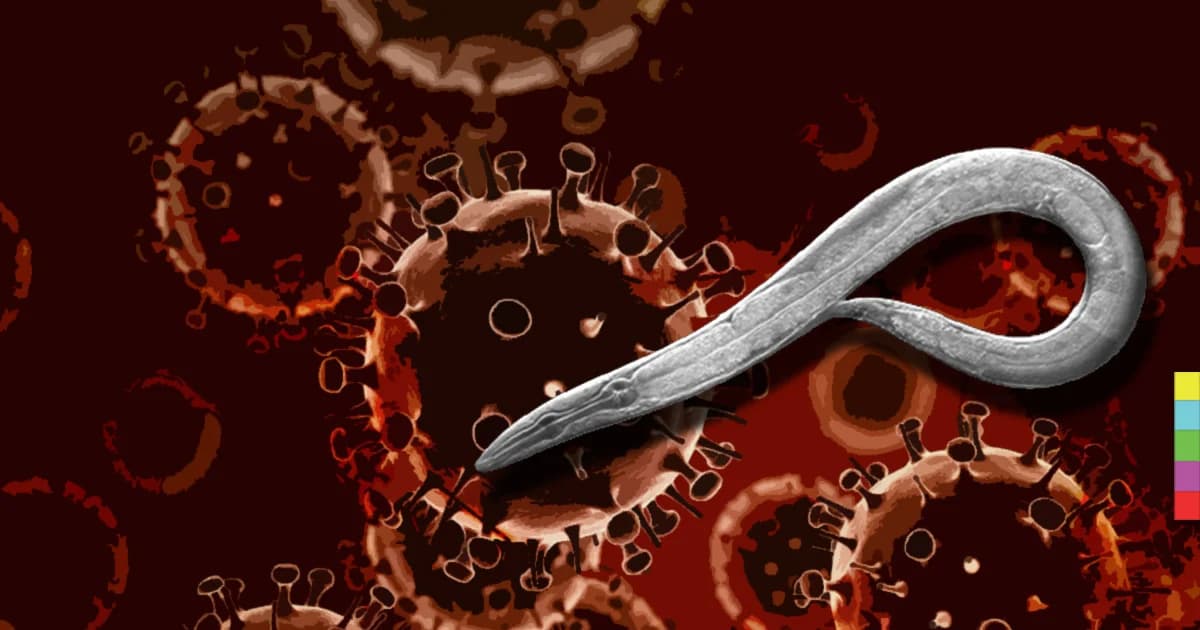 ตรวจหามะเร็งด้วยหนอน ! วิธีใหม่ที่ให้ผลลัพธ์แม่นยำ 95%