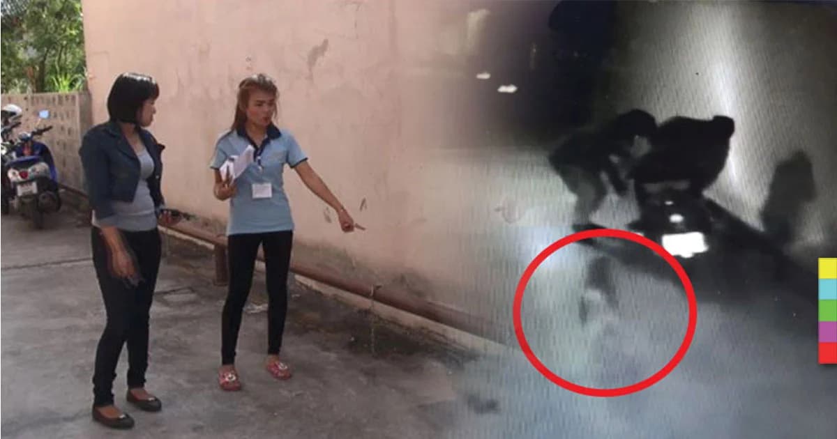 2 โจร บุกขโมย จยย.ตามหอพัก ! สุดงง มีสุนัขติดตามมาด้วย