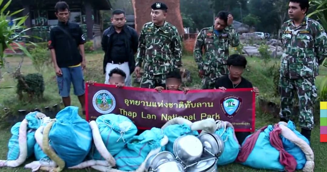 จับต่อเนื่อง ! จนท.ทับลานรวบ ‘ทัพเขมรตัดไม้พะยูง’ เพิ่ม 3 ราย