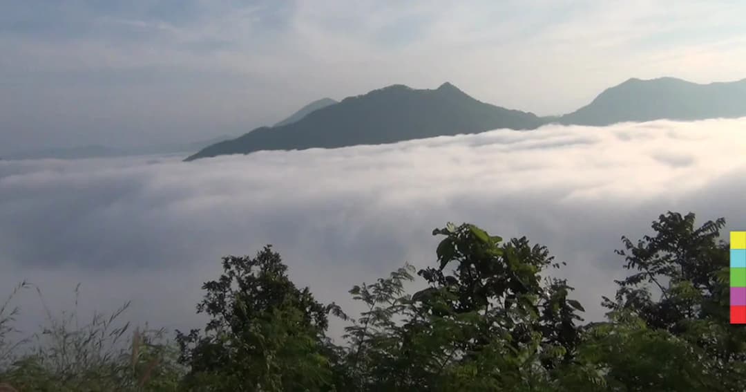 ‘ยอดภูหลวง’ หนาว 5 องศาฯ นทท.แห่ชมทะเลหมอกเชียงคาน