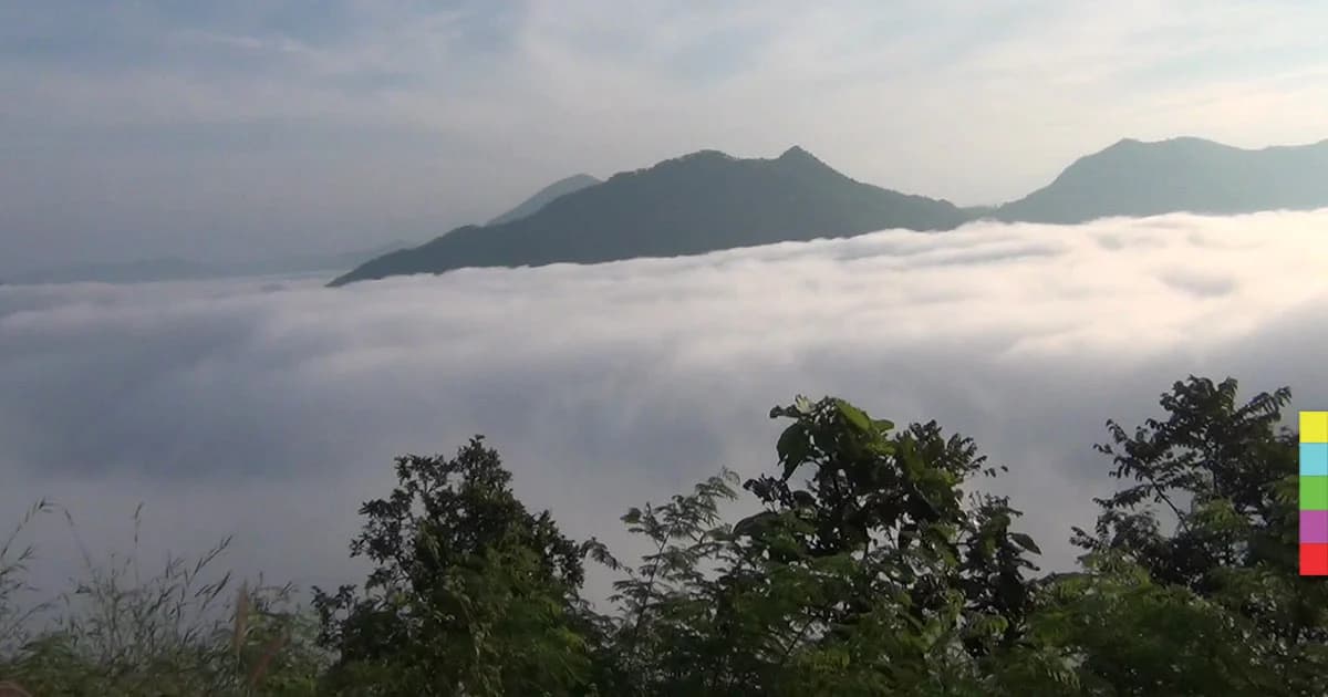 ‘ยอดภูหลวง’ หนาว 5 องศาฯ นทท.แห่ชมทะเลหมอกเชียงคาน