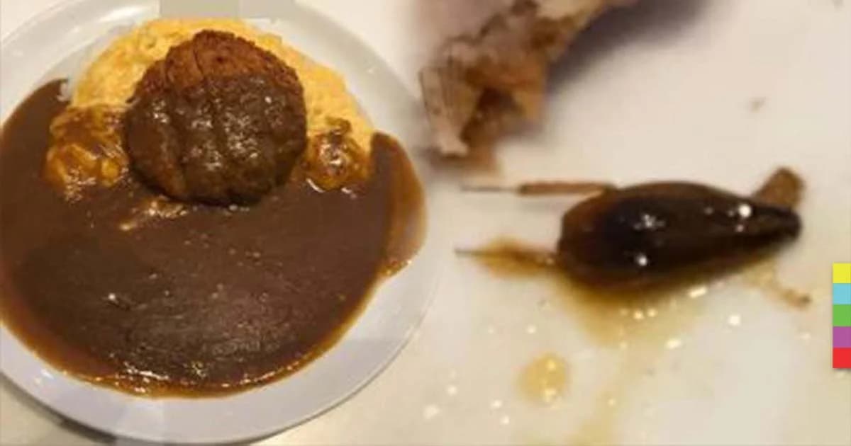 ทำเอากลืนไม่ลง ! สาวโพสต์เฟซเจอ “แมลงสาบ” ในข้าวแกงกะหรี่ร้านดัง