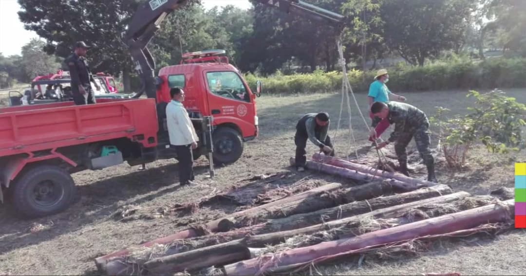 ยึดไม้สักท่อนซุกซ่อนในสระน้ำรีสอร์ท จ.ลำพูน