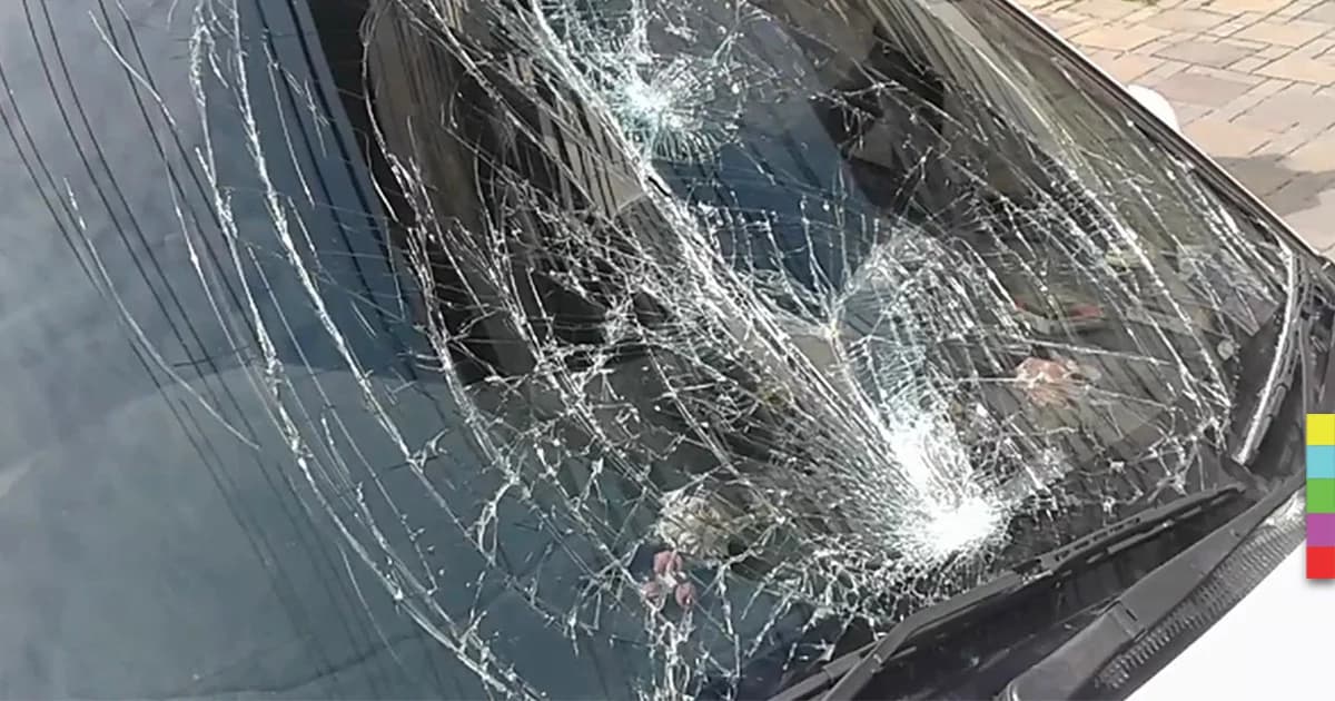 ‘หนุ่มคลั่ง’ วิ่งให้รถชน แต่ไม่ตาย!