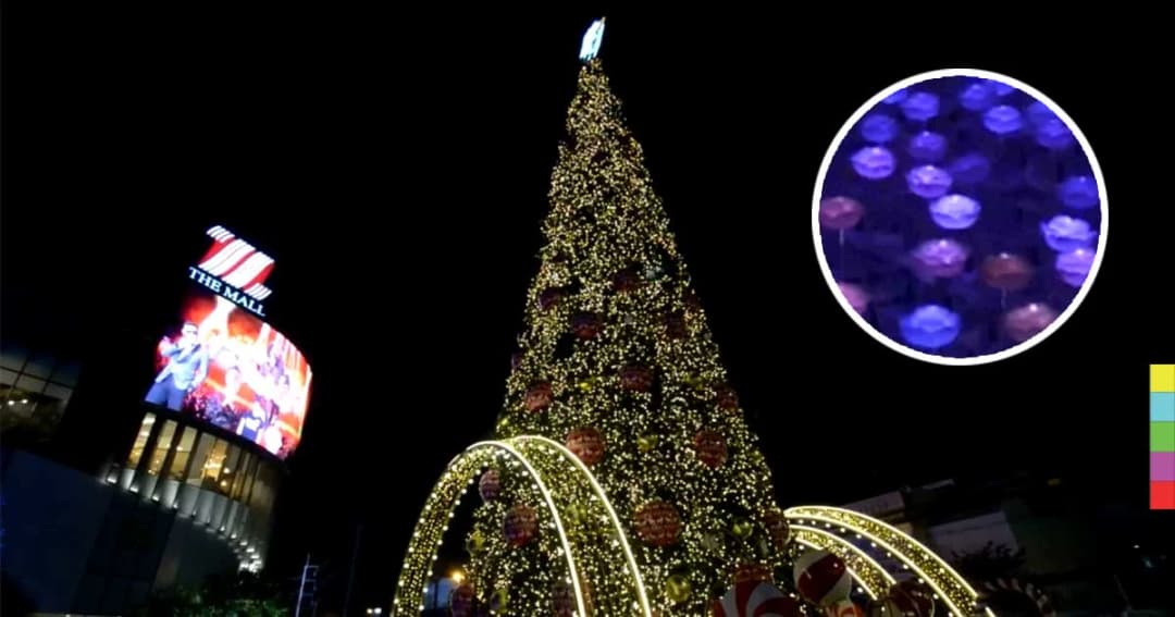 เนรมิตทุ่งดอกไม้ประดับไฟเปลี่ยนสีได้ ต้อนรับคริสต์มาส-ปีใหม่