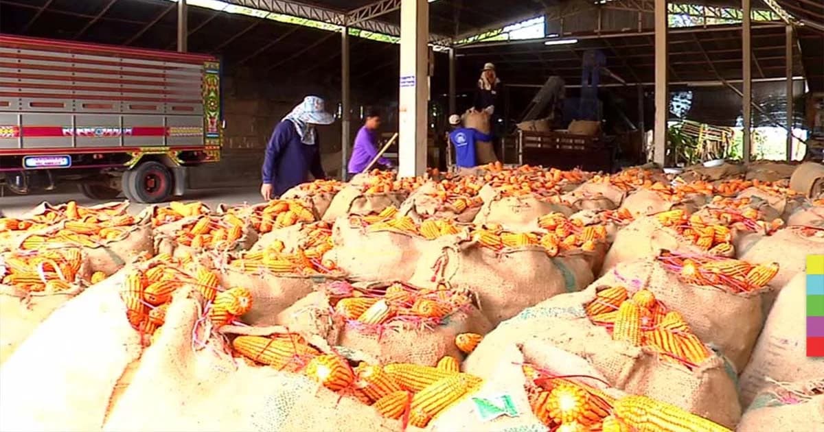 ก.พาณิชย์ จับมือ ก.กษตรฯ เร่งแก้ปัญหาสินค้าเกษตรราคาตกต่ำ