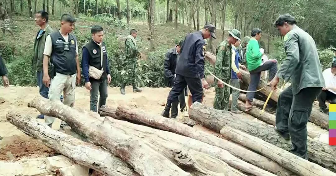 รื้อสะพานไม้เก่า พบไม้พะยูงมูลค่ากว่า 10 ล้านบาท !