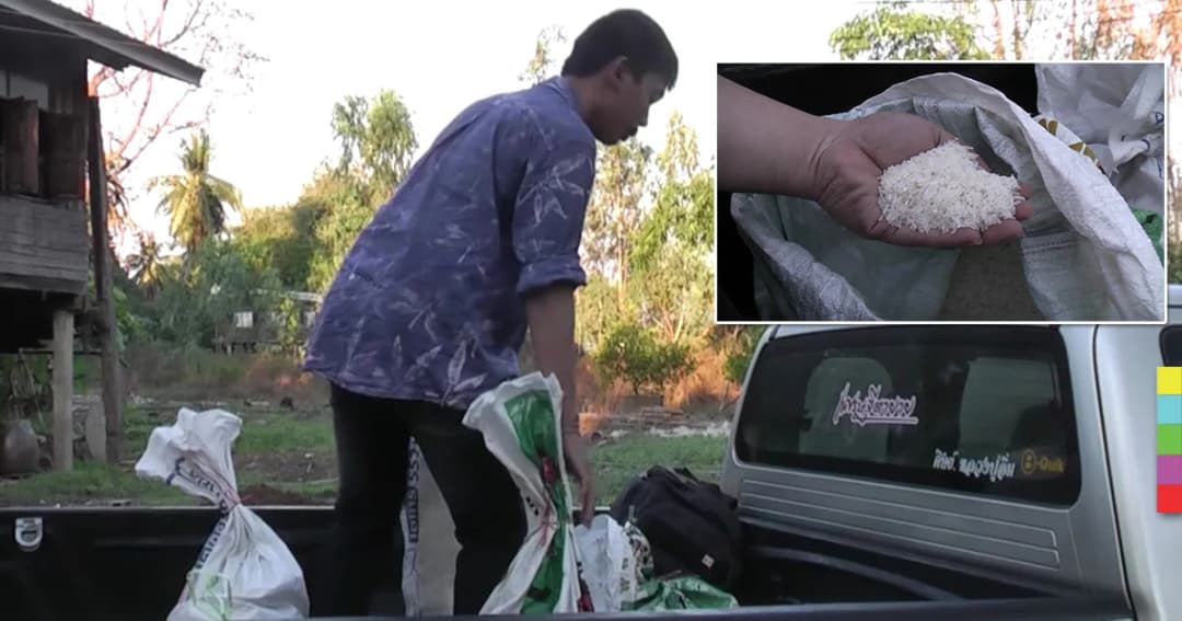 ปชช. แบกข้าวสารกลับกรุง หวังลดค่าครองชีพ