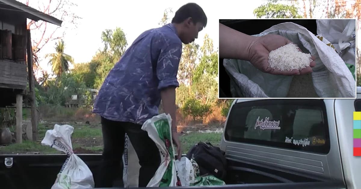 ปชช. แบกข้าวสารกลับกรุง หวังลดค่าครองชีพ