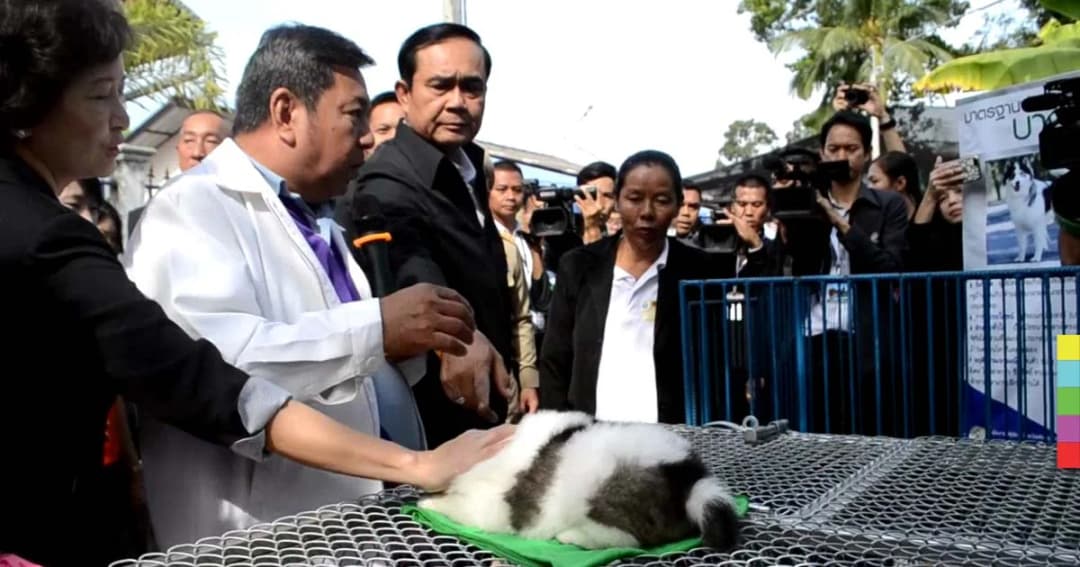 ‘ศรีสุวรรณ’ เตรียมยื่น ป.ป.ช. สอบนายกฯ ซื้อลูกหมาบางแก้วเป็นของขวัญ เกิน 3 พันบาท