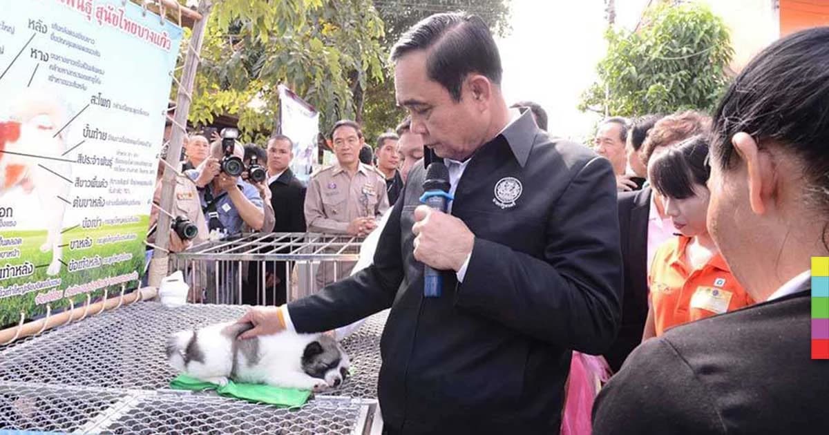 “ประยุทธ์” เผย ยังไม่ได้รับสุนัขบางแก้ว ระบุอย่าทำให้เป็นเรื่องใหญ่