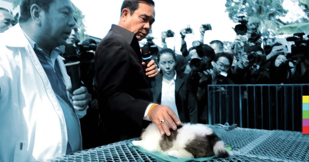 บางแก้วแว้งกัด บิ๊กตู่-บิ๊กป๊อก-บิ๊กฉัตร?