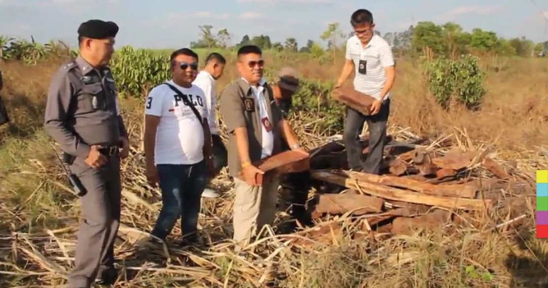 บุกยึดไม้พะยูง กลางสวนลำไย มูลค่ากว่า 5 ล้านบาท