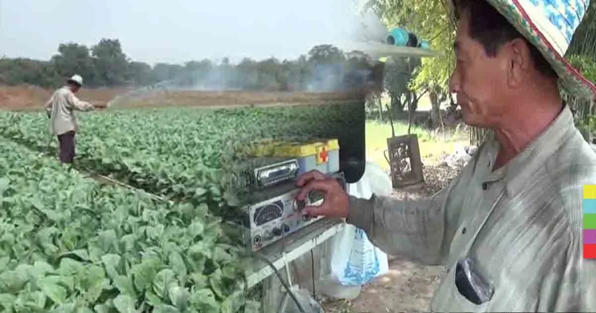 ผู้ช่วยผู้ใหญ่บ้าน ไอเดียเก๋ ! เปิดเพลงให้ผักฟังทุกวัน เชื่อช่วยให้โตเร็ว