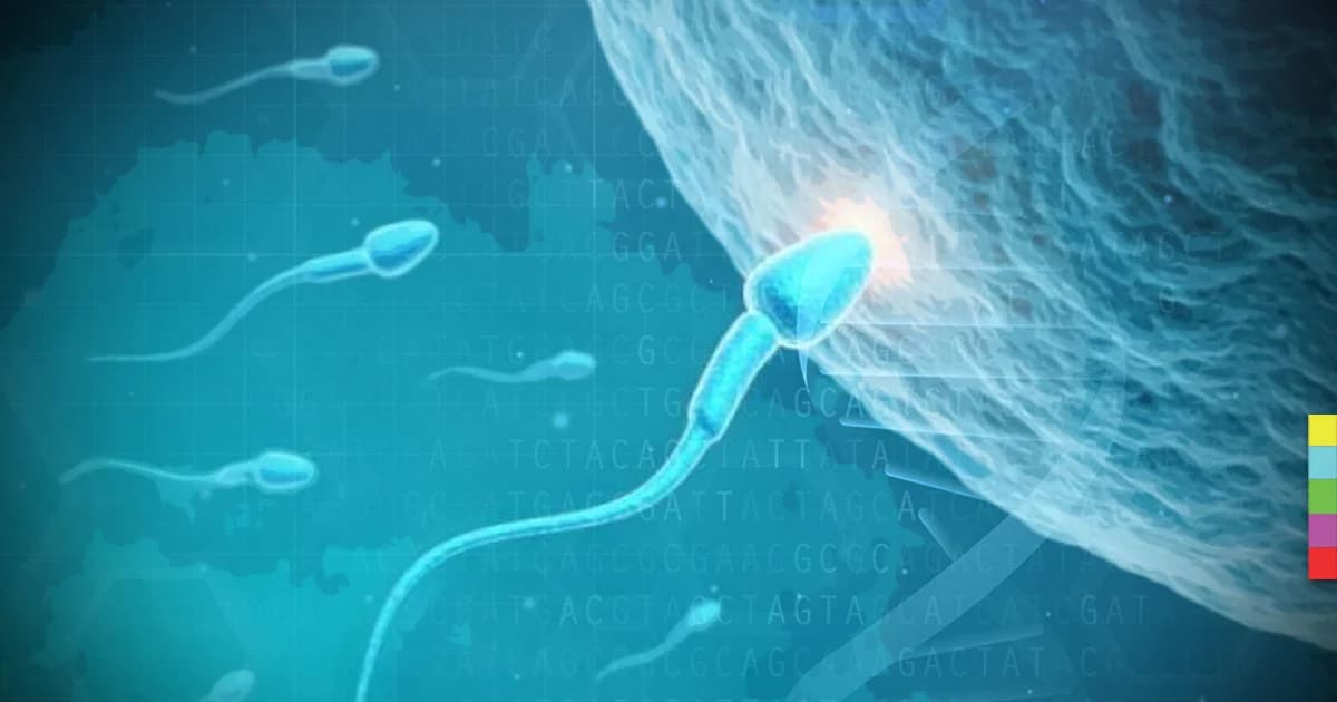 นักวิจัยอังกฤษเชื่อ อาจสร้างสเปิร์มเกรดเอไร้ตำหนิส่งตรงจากห้องแล็บ สำเร็จใน 10 ปี