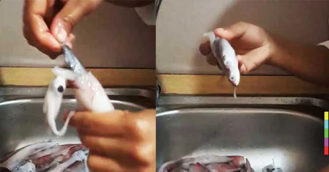 ลูกค้าเซ็ง ! ซื้อปลาหมึก เจอปลายัดไส้