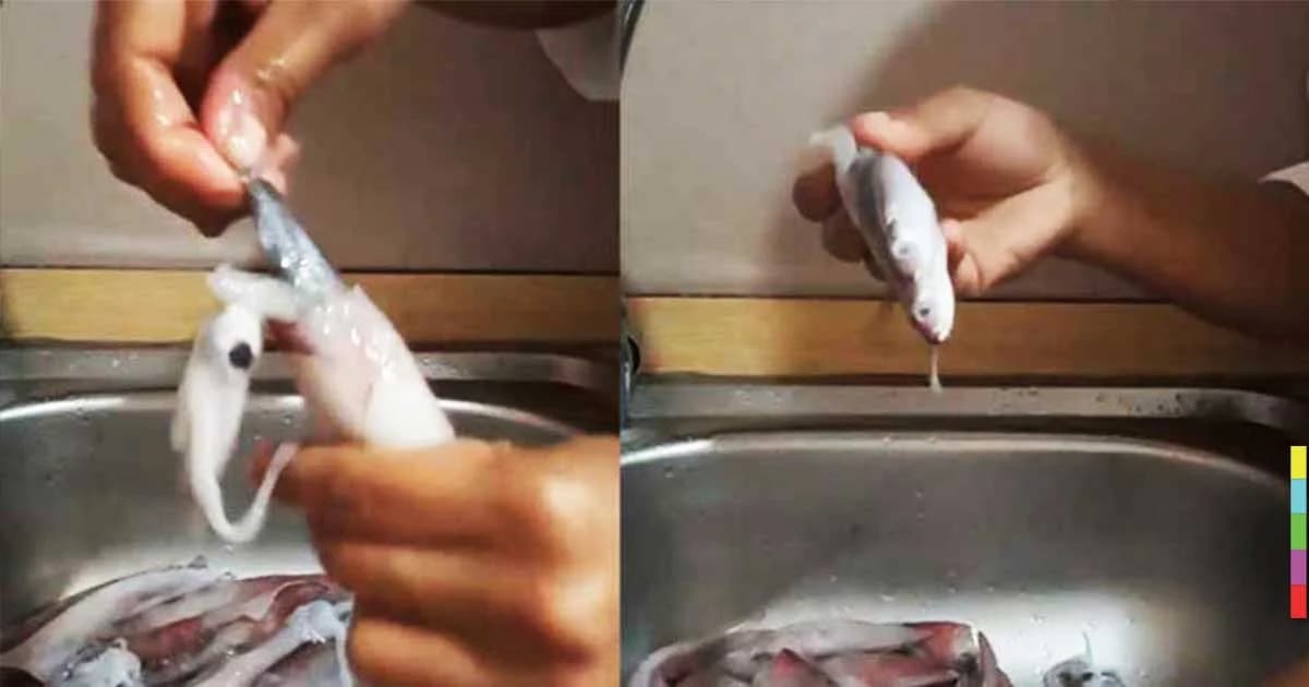 ลูกค้าเซ็ง ! ซื้อปลาหมึก เจอปลายัดไส้