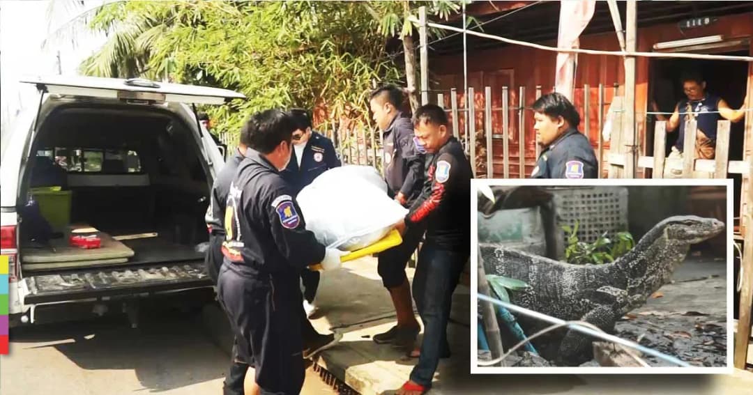 ตัวเงินตัวทอง รุมแทะศพหญิงวัย 61 ปี คาด เสียชีวิตมาเเล้ว 3 วัน