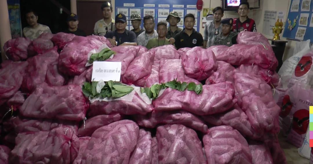 จับรถขนใบกระท่อม ซิ่งหนีด่าน ยึดได้กว่า 1 พัน กก.