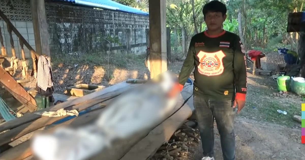 ชายวัย 69 ถูกมีดฟันเข้าท้ายทอยดับคาใต้ถุนบ้าน