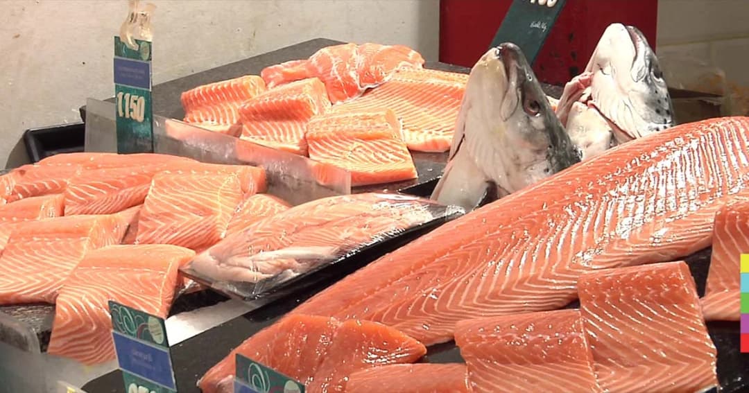 แพทย์เตือน ! หญิงตั้งครรภ์ไม่ควรกินแซลมอนดิบ เสี่ยง ‘พยาธิ’ ต่อลูกในท้อง