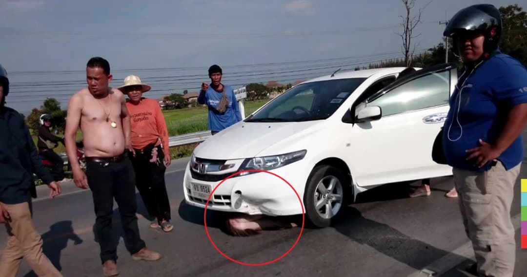 ‘กวาง’ กระโดดตัดหน้า ! ถูกเก๋งชนอย่างจัง เจ็บสาหัส