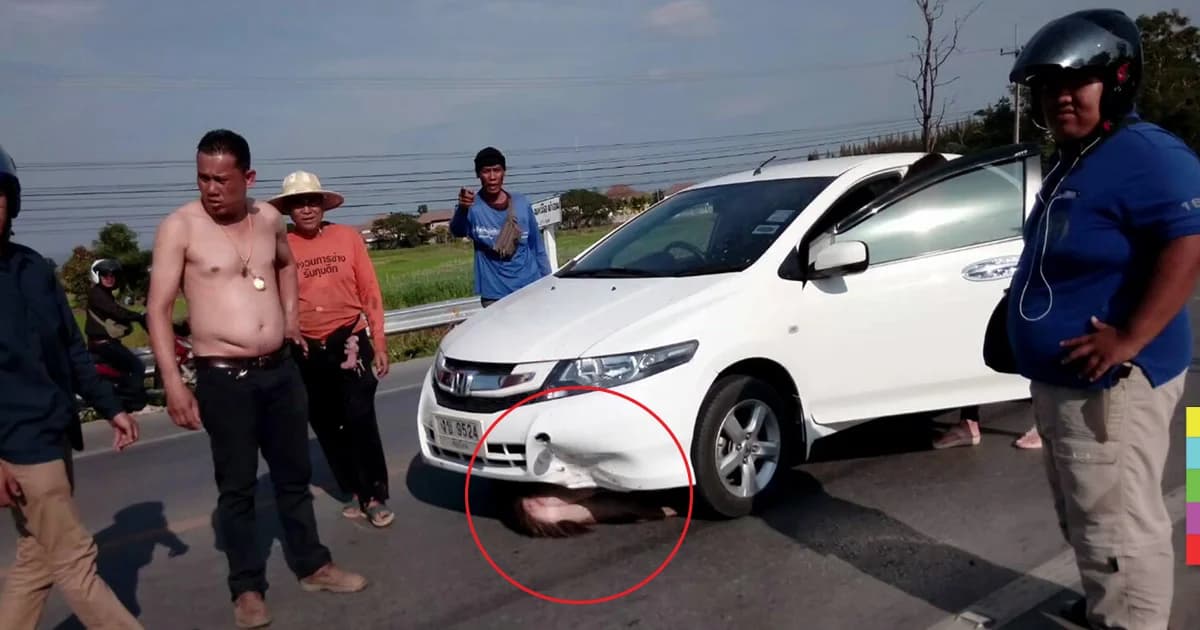 ‘กวาง’ กระโดดตัดหน้า ! ถูกเก๋งชนอย่างจัง เจ็บสาหัส