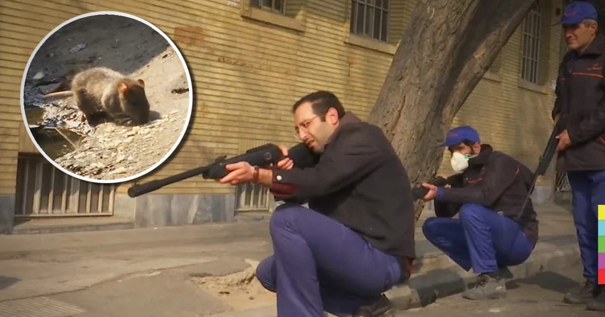 หน่วยแม่นปืนล่าหนูตามท่อระบายน้ำ ในกรุงเตหะราน