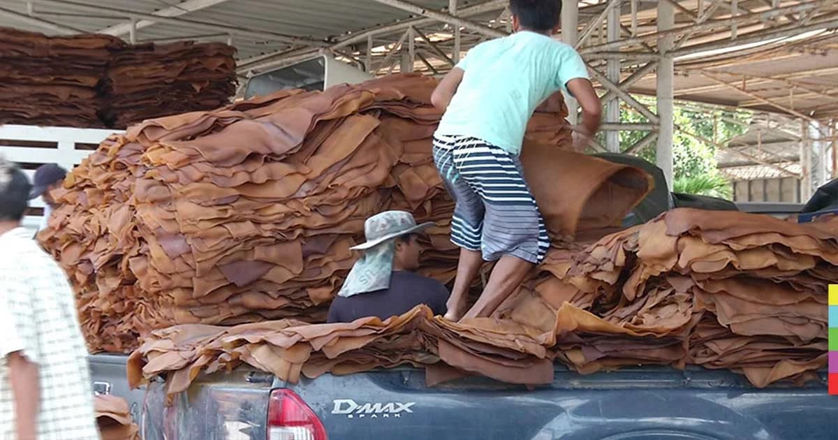 กยท. เดินหน้าเพิ่มจุดจำหน่ายยางพารา แก้ปัญหาราคาตกต่ำ