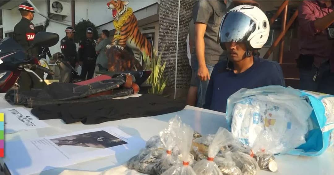 รวบโจรพ่อลูกอ่อน บุกร้านสะดวกซื้อกลางดึก จี้พนักงาน ชิงผ้าอ้อมพร้อมเงินสด