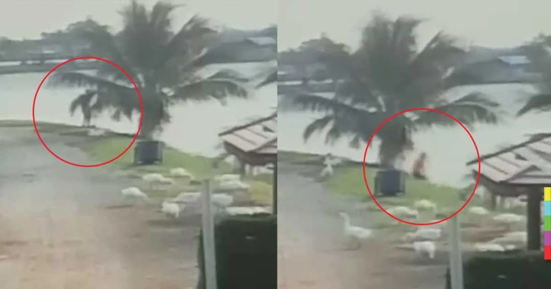 ลุงตกปลาสู้แรงไม่ไหว ถูกกระชากตกบึงสูญหาย ไม่ทราบชะตากรรม