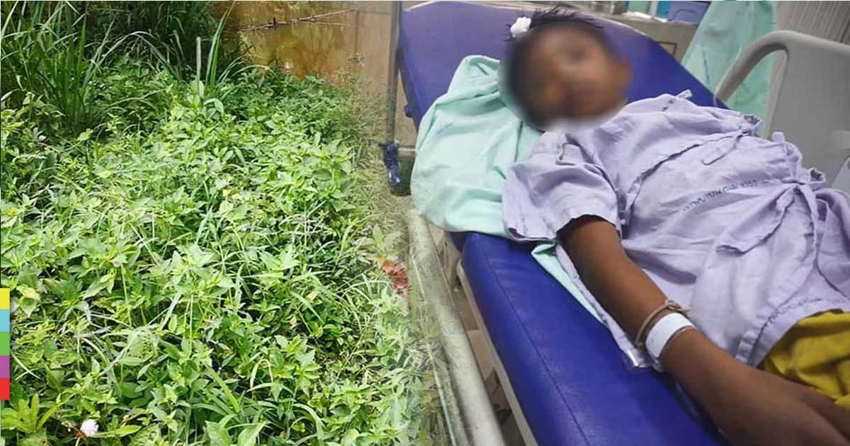 เด็กชายวัย 9 ขวบ เก็บผักบุ้งริมทาง ถูกยิง หัวกระสุนฝังศีรษะ