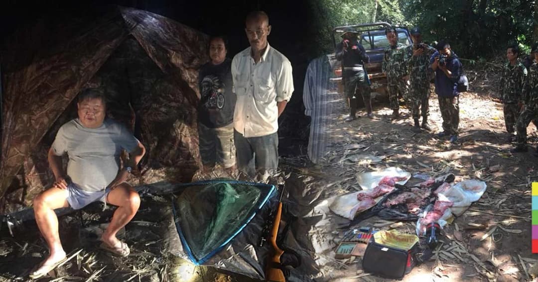 บุกจับกลางป่า ! ปธ.บมจ.อิตาเลียนไทย ตั้งแคมป์ล่าสัตว์ป่าสงวนทุ่งใหญ่นเรศวร