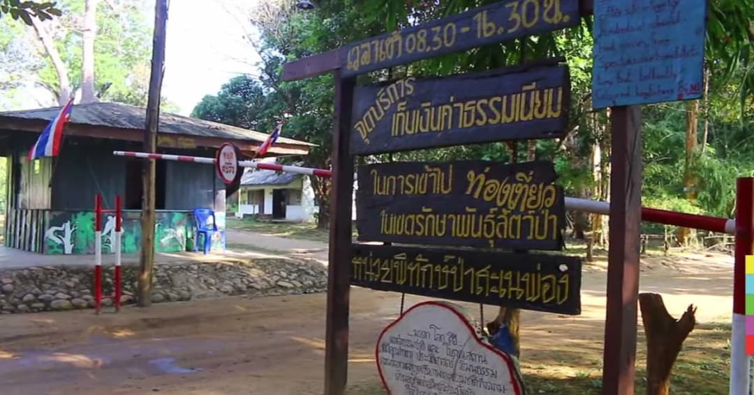 สั่งปิดชั่วคราว ! เส้นทางท่องเที่ยว “ป่าทุ่งใหญ่” คุมเข้มทางเข้า-ออกทุกด้าน