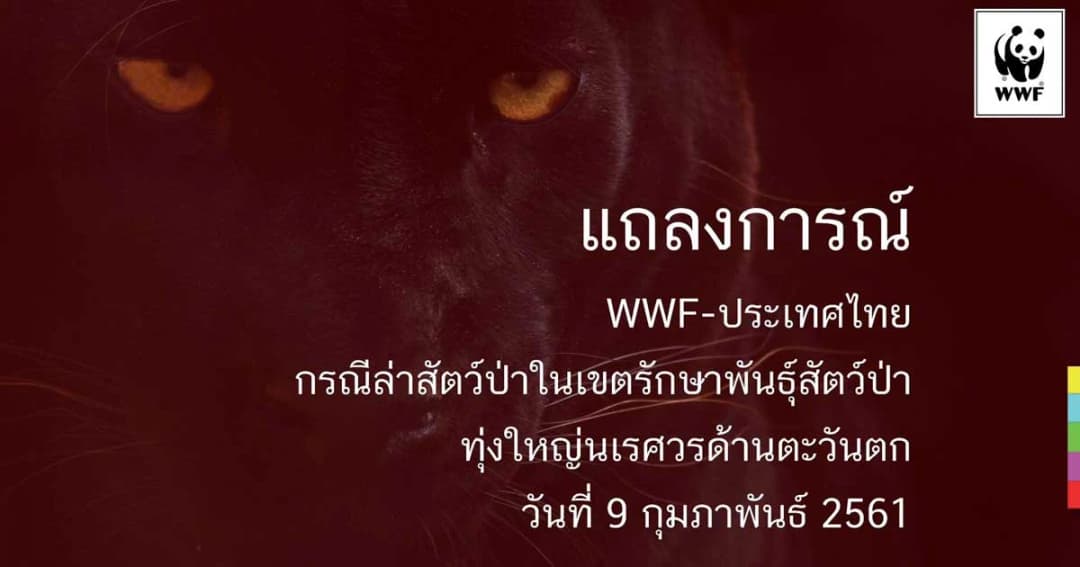 WWF แถลงการณ์ประณาม “เปรมชัย” และพวก ล่าสัตว์ป่าทุ่งใหญ่นเรศวร
