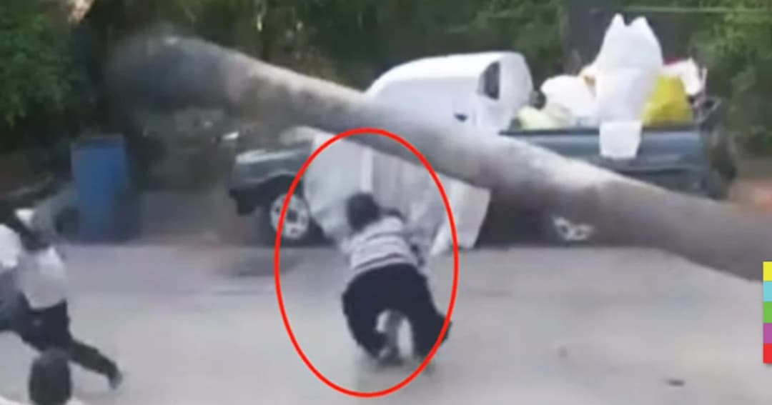 โกงความตาย ! ต้นตาลโค่น หวิดทับ เด็ก 2 ขวบ