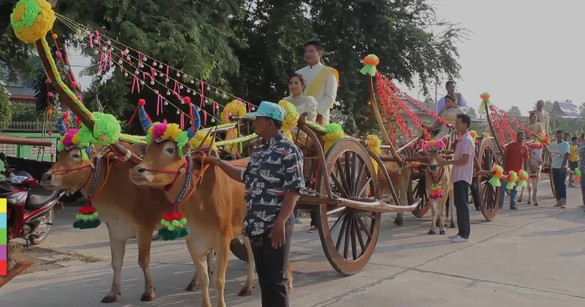 วาเลนไทน์ !! อบต.นาพันสาม จัดงานแต่งงานบนหลังเกวียน 13 ก.พ.