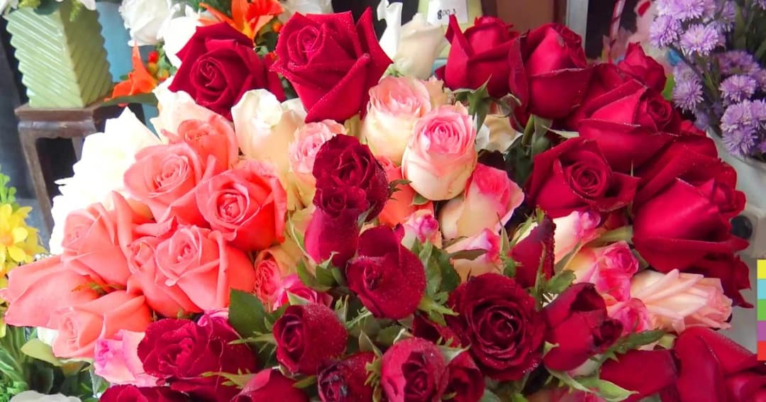 ‘กุหลาบ’ แพง สงขลาขายดอกไม้ช่อละ 500-3,000 บาท