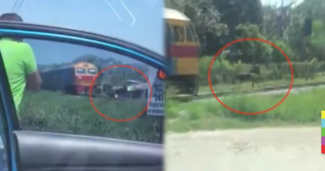 ลุ้นใจหาย ! ม้าเหล็กวิ่งไล่ม้าจริง