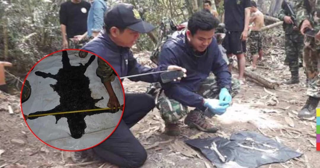 จนท. พบท่อนกระดูกขาขวา ‘เสือดำ’ หลักฐานเด็ดมัด ‘เปรมชัย’