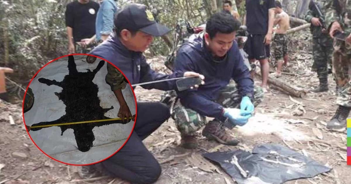 จนท. พบท่อนกระดูกขาขวา ‘เสือดำ’ หลักฐานเด็ดมัด ‘เปรมชัย’