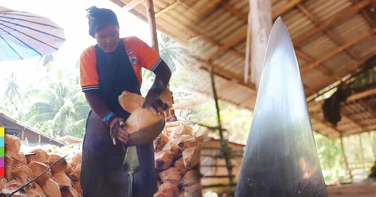 หญิงแกร่ง ไม่ห่วงสวย ! รับจ้างปอกเปลือกมะพร้าว ช่วยหาเลี้ยงครอบครัว