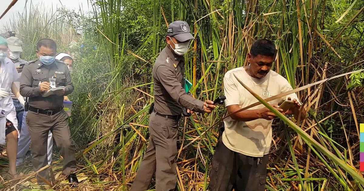 ล่าหนุ่มโหด ! ฆ่าหมกศพ ‘แม่ม่าย’ ชิงกระบะ