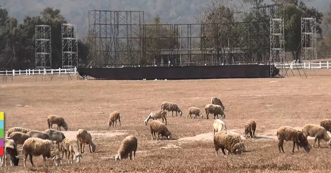 หาคำตอบ ‘คอนเสิร์ตมันยกแกะ’ ล่ม ตั้งใจหรือสุดวิสัย ?