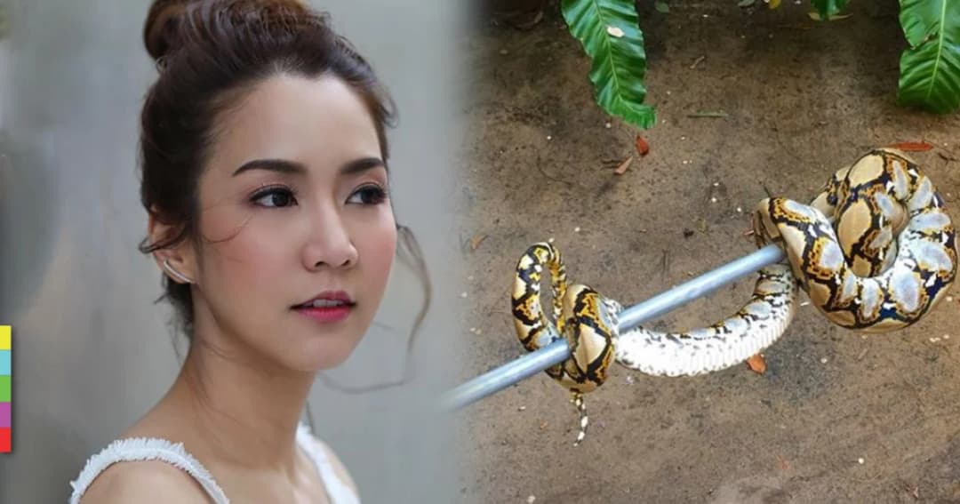 “จั๊กจั่น” ผวา งูเลื้อยเข้าบ้าน! หลายครั้ง