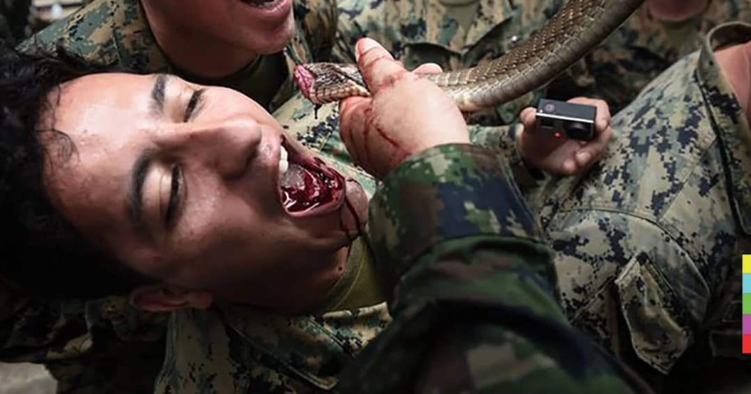 ทหารมะกัน-กิมจิ ดื่มเลือดงูเห่าสดๆ ในคอบร้าโกลด์ 2018