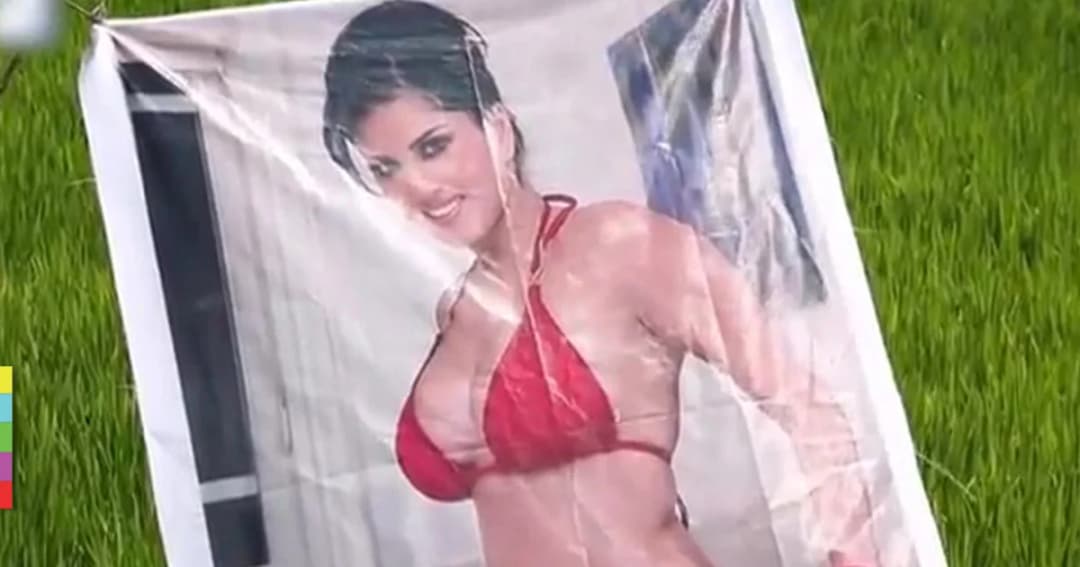 เกษตรกรติดโปสเตอร์ “ดาวโป๊” ป้องกันคนร้ายขโมยพืชผัก ในอินเดีย