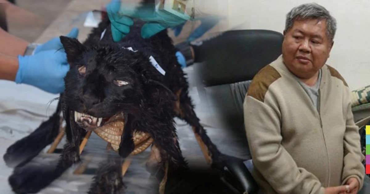 อ้างติดภาระกิจ! ‘เปรมชัย’ ขอเลื่อนให้ปากคำ