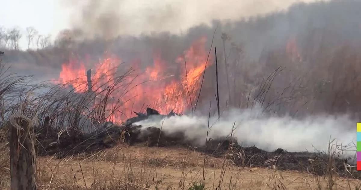 ลามไม่หยุด ! ไฟไหม้ป่าขุนวังฯ 3 วันติด วอดแล้ว 200 ไร่