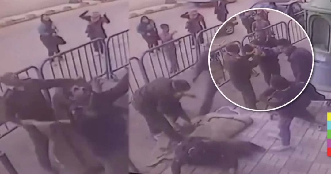 ชื่นชม 3 ฮีโร่ตำรวจอียิปต์ คว้าเด็กน้อย ที่พลัดตกจากตึกชั้น 3 รอดชีวิต